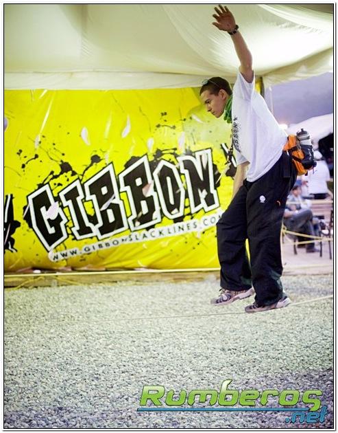 ¡Reta tu equilibrio! Tras la pista del “Gibbon Venezolano”