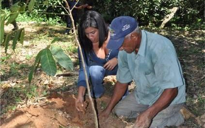 Árboles donados por Pirelli darán sombra al cacao de San Esteban