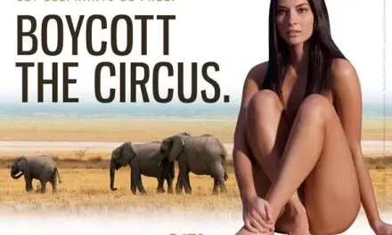 Olivia Munn se desnuda para boicotear el circo