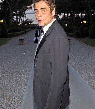 Benicio del Toro, en problemas con la justicia