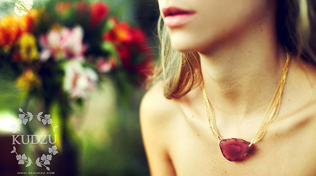 A La Escondida le gusta Kudzu