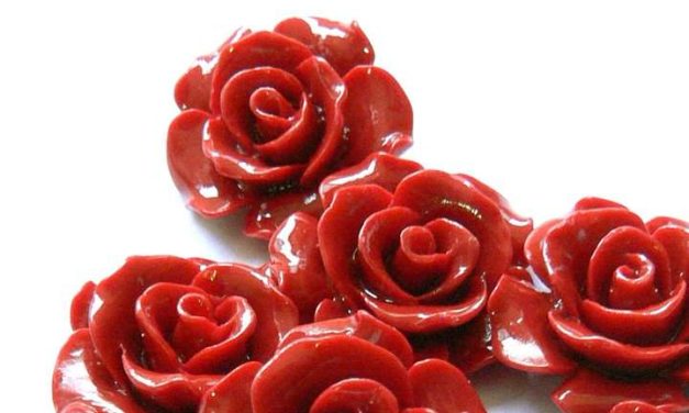 Carol Ginter presenta su colección »Love & Chic» para este 14 de febrero