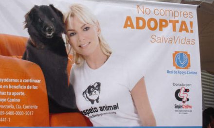 Jornada de Adopción de Mascotas Jornada de Adopción de mascotas en Centro Expreso Baruta