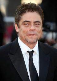 Benicio del Toro tendrá un hijo con Kim Stewart