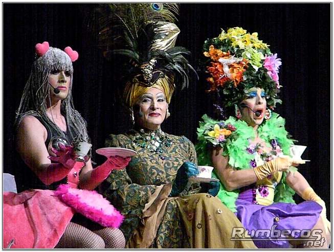 Entre plumas y colores »Se abrió la jaula» en el Dr. Alfredo Celis  Pérez (+Fotos)