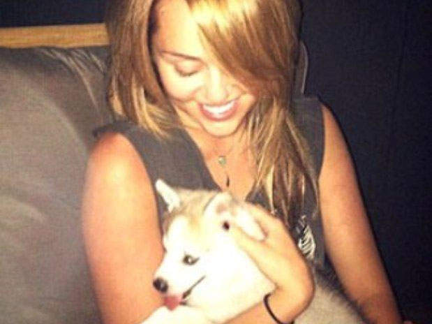 Miley Cyrus se declara en Twitter ‘enamorada’ de su mascota