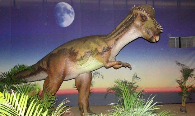 MARGARITA SE SUMO A LA DINOSAURIOMANIA