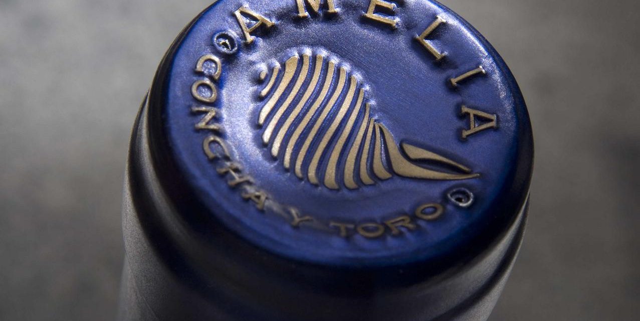 Concha y Toro en las celebraciones con sus mejores vinos blancos!