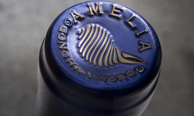Concha y Toro en las celebraciones con sus mejores vinos blancos!