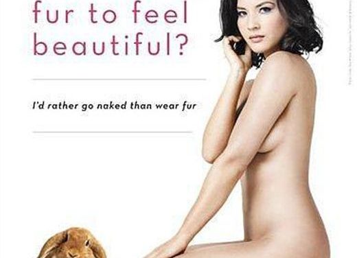 Olivia Munn se desnuda para denunciar el maltrato animal