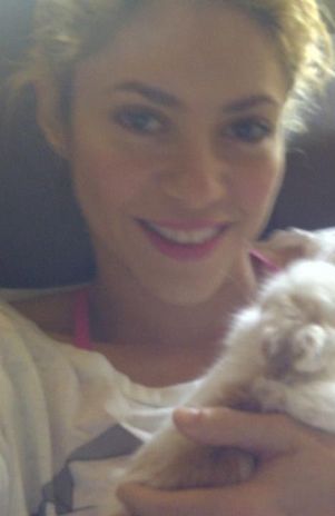 Shakira llega a los 15 millones de seguidores en Twitter