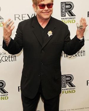 Elton John y su pareja desean adoptar otro niño