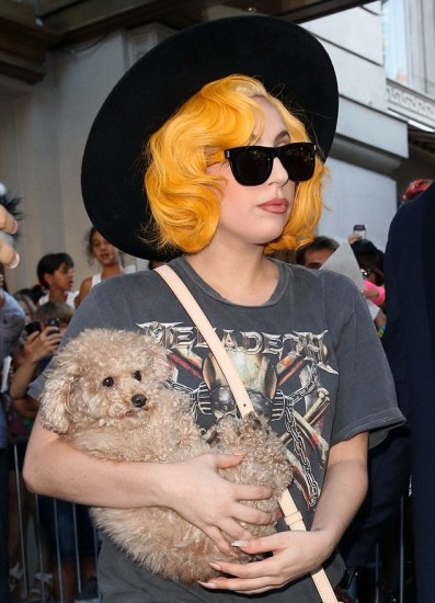 Lady Gaga consiguió un inseparable y peludo accesorio
