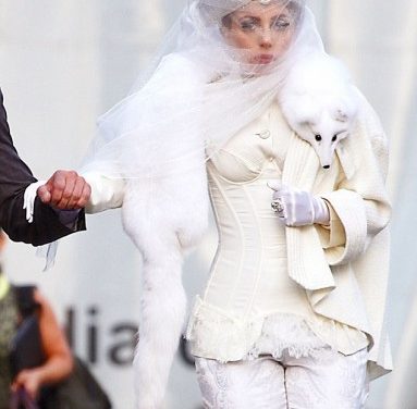 Lady Gaga provoca la furia de PETA por lucir un zorro en su cuello