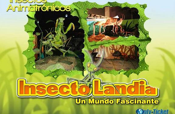 ‘INSECTOLANDIA’ SE EXTIENDE HASTA EL 15 DE OCTUBRE