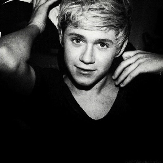 Niall Horan no tiene tiempo para una novia