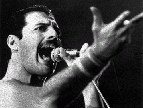 Freddie Mercury revive en la Cinemateca Nacional
