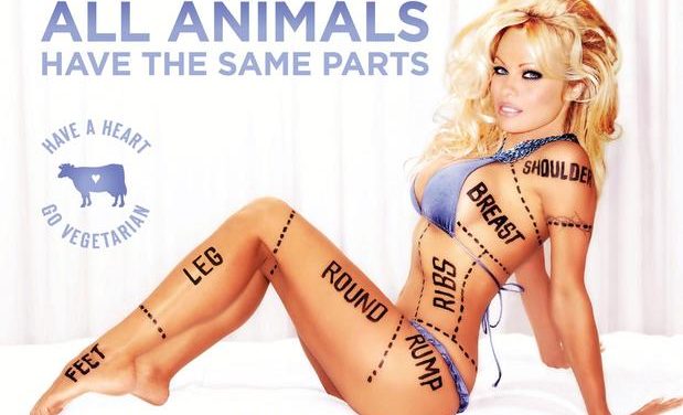 Pamela Anderson quiere vivir con animales adoptados