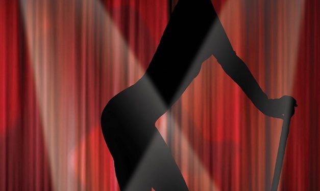 VEN A DISFRUTAR DE KABARET SEXY BOUTIQUE & BAR