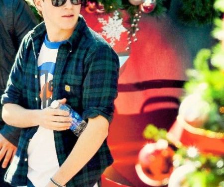 Niall Horan responde amablemente a insulto
