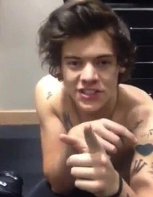 Harry Styles y Niall Horan, desnudos en Twitter