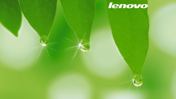 10 CONSEJOS PARA REDUCIR EL CONSUMO DE ENERGÍA Y PRESERVAR EL MEDIO AMBIENTE