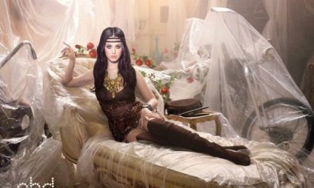 Katy Perry demanda a marca que representa por 2 millones de dólares