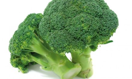 El brócoli: Refuerza tu sistema inmunológico y protege tu salud