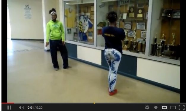 #Insolito: Mujeres intentan hacer Harlem Shake pero tienen un accidente (+Video)