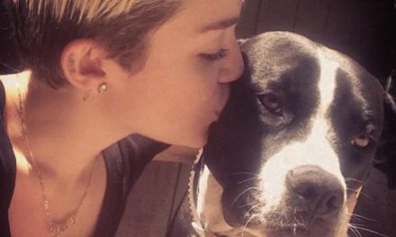 Miley Cyrus se unió a Instagram