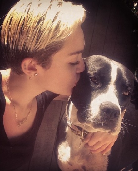 Miley Cyrus se unió a Instagram