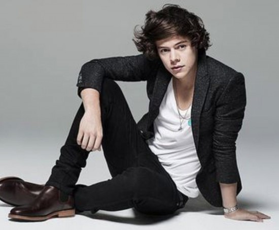 Harry Styles no tiene tiempo para tener novia