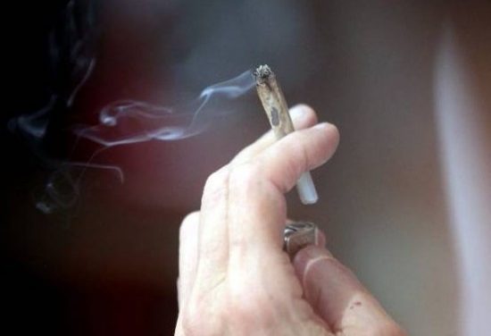 ¿Consumo de marihuana podría provocar la homosexualidad?
