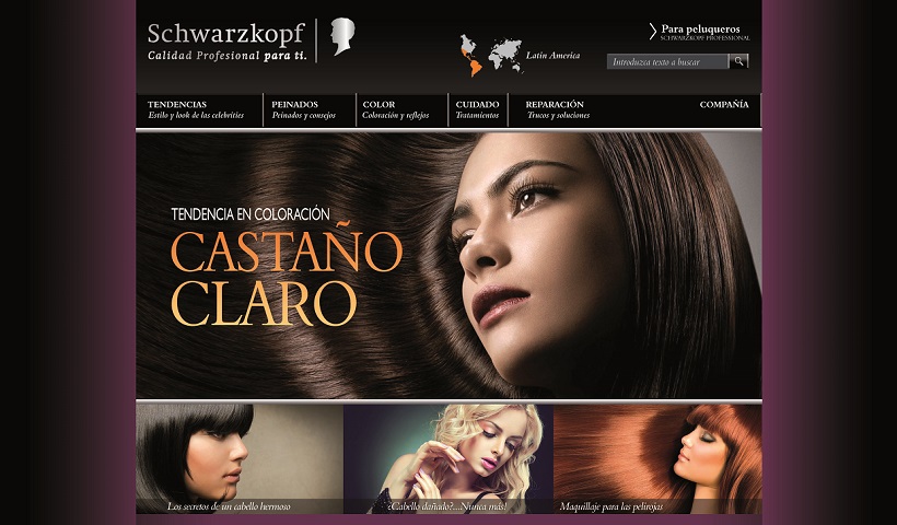 SCHWARZKOPF Cuidado y Color DIGITAL Nuevo portal