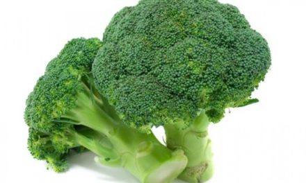 #SabiasQue? el Brócoli es un Alimento que ayuda a reducir la grasa en las caderas