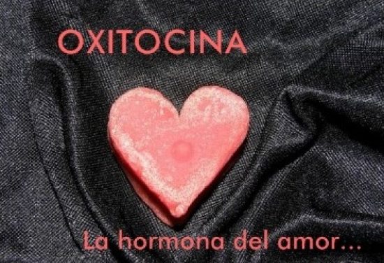 Oxitocina la hormona del amor: Responsable del apego de la mujer