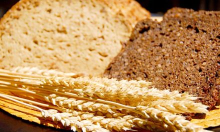 #Salud Los Cereales: ventajas de su consumo cotidiano