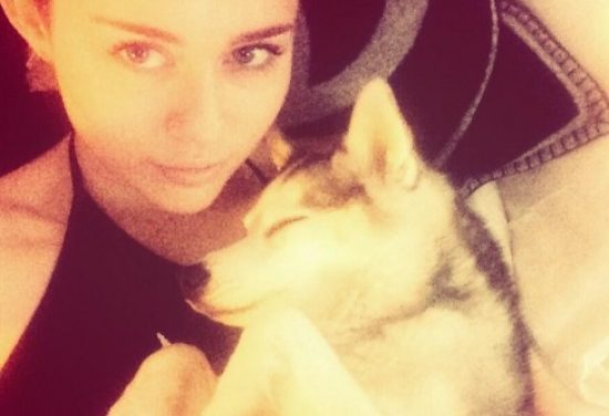 Miley Cyrus estaría embarazada y no sabría quién sería el padre de su hijo