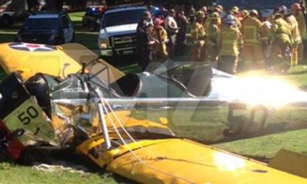 Harrison Ford sufre grave accidente en avión que piloteaba