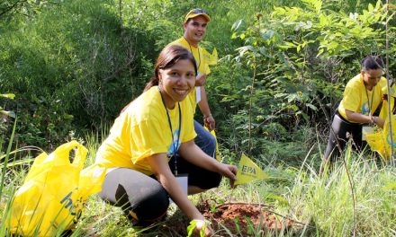EPA invita a celebrar el Día del Árbol con jornada de reforestación y diversión en Casupo