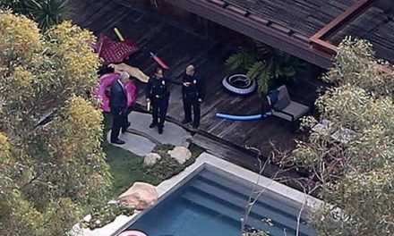 Muere hombre en piscina de la casa de Demi More