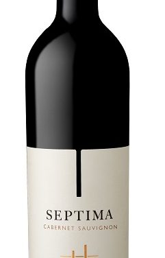 SÉPTIMA INTRODUCE AL MERCADO VENEZOLANO LO MÁS SELECTO DEL VINO ARGENTINO