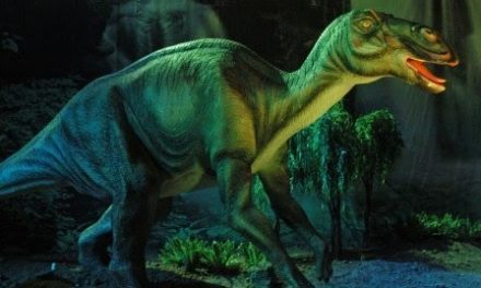 Dinosaurios »El Parque Jurásico» llega el 19 de julio en el Hatillo