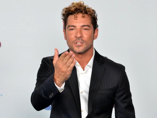 David Bisbal niega haber contratado prostitutas