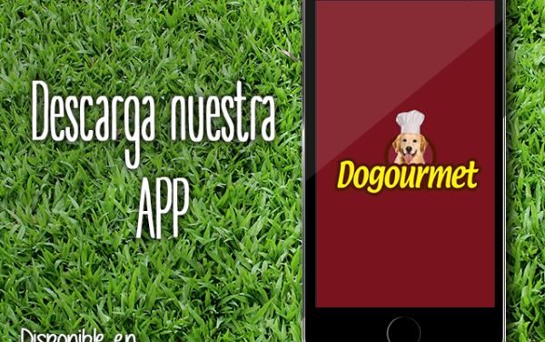 Dogourmet estrena aplicación móvil para dueños de mascotas de Venezuela