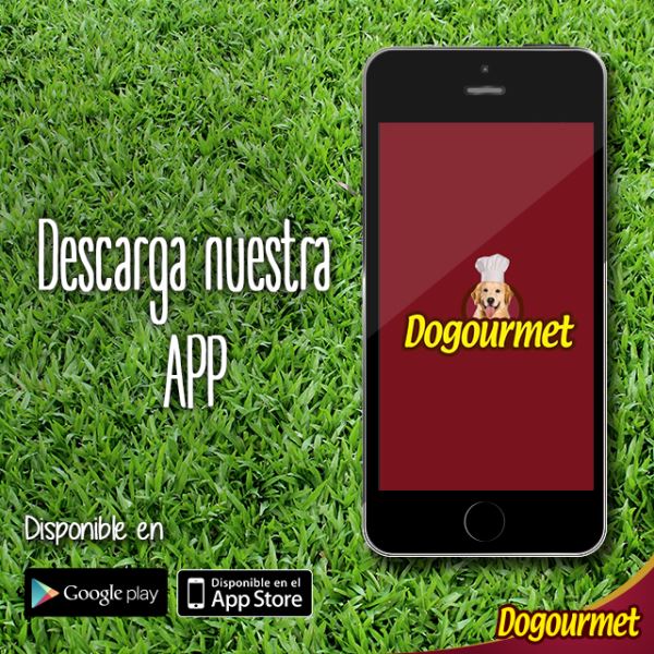 Dogourmet estrena aplicación móvil para dueños de mascotas de Venezuela