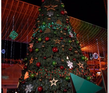 El CENTRO SAN IGNACIO CELEBRÓ EL ENCENDIDO DE LA NAVIDAD (+Fotos)