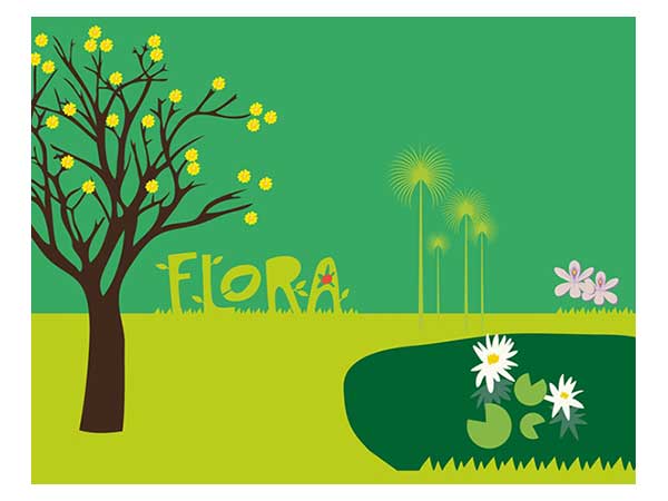 Extienden exhibición Flora de Masisa en el Museo Jacobo Borges