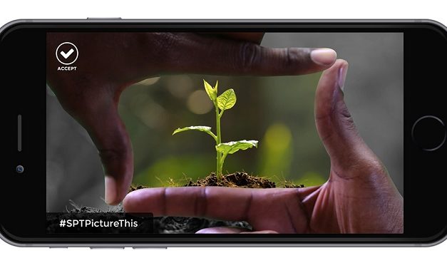 SONY PICTURES TELEVISION LANZA APP PICTURE THIS PARA DISPOSITIVOS ANDROID E IOS