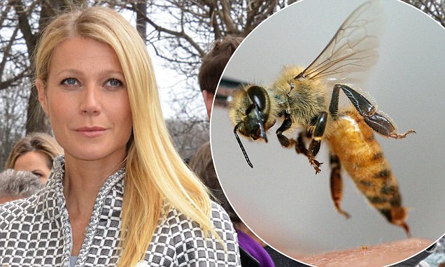 Gwyneth Paltrow habla de su doloroso secreto de belleza